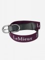 LeMIEUX ELASTICATED BELT